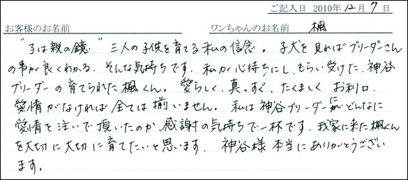 コッカーお客様の声
