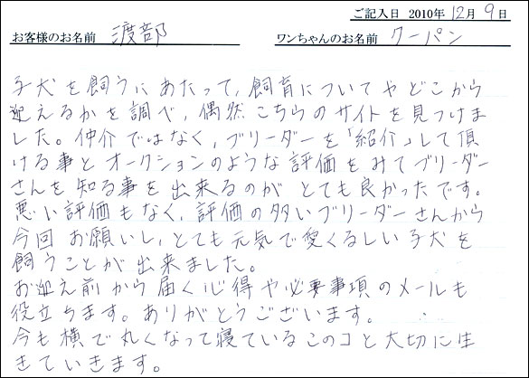 コッカーお客様の声