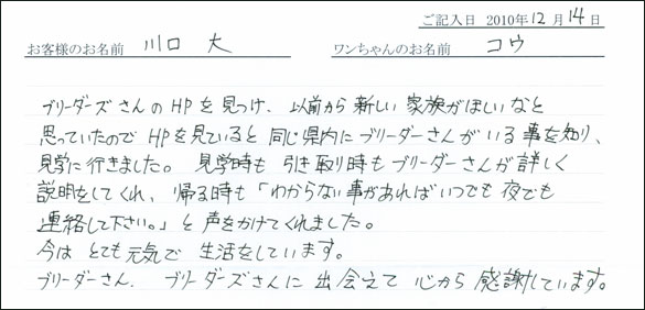 コッカーお客様の声