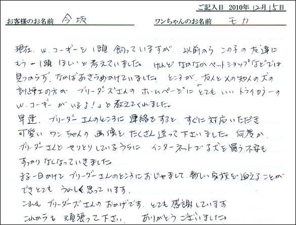 コッカーお客様の声