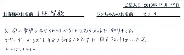 コッカーお客様の声