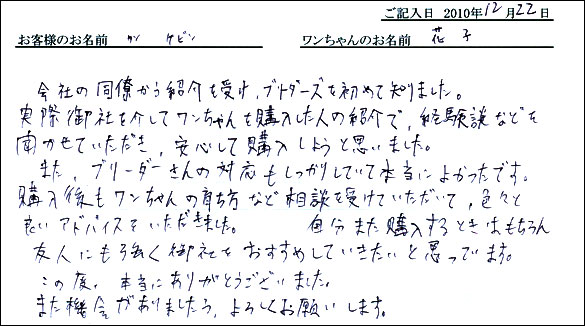 コッカーお客様の声