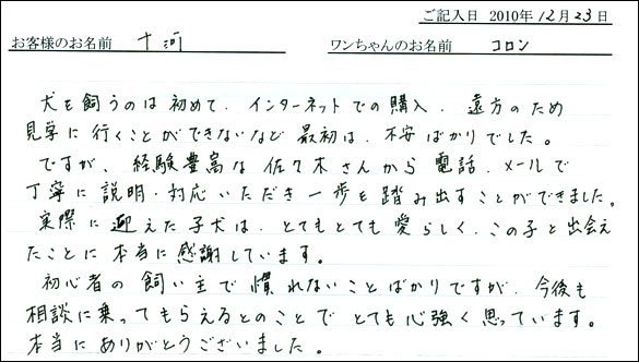 コッカーお客様の声