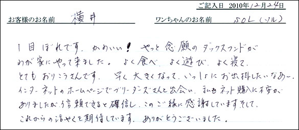 コッカーお客様の声