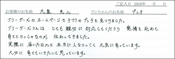 コッカーお客様の声
