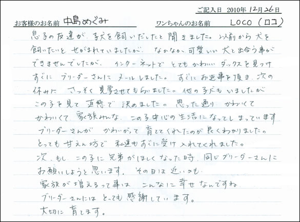 コッカーお客様の声