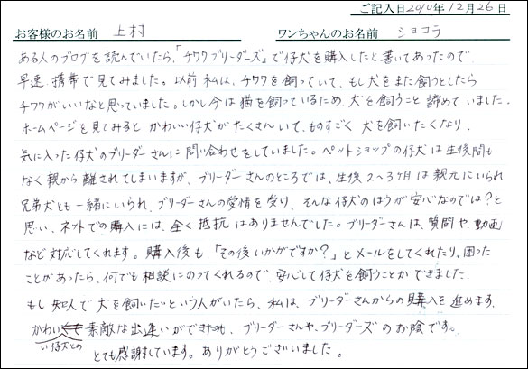 コッカーお客様の声