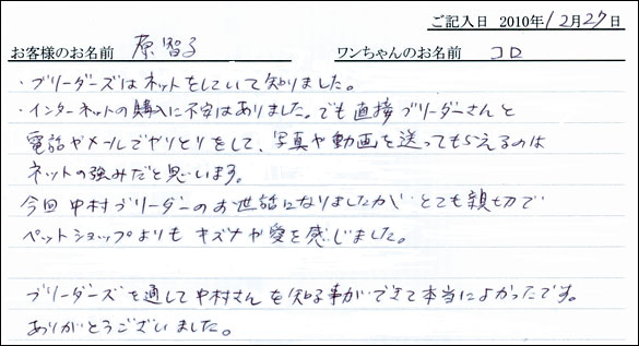 コッカーお客様の声