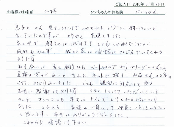 コッカーお客様の声