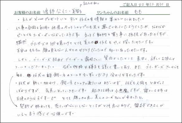 コッカーお客様の声