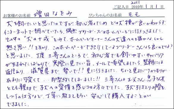 コッカーお客様の声