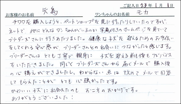 コッカーお客様の声