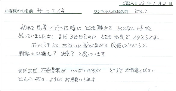 コッカーお客様の声