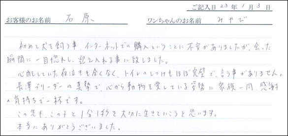 コッカーお客様の声