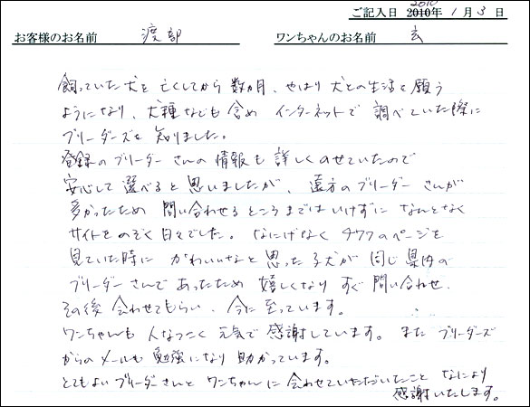 コッカーお客様の声