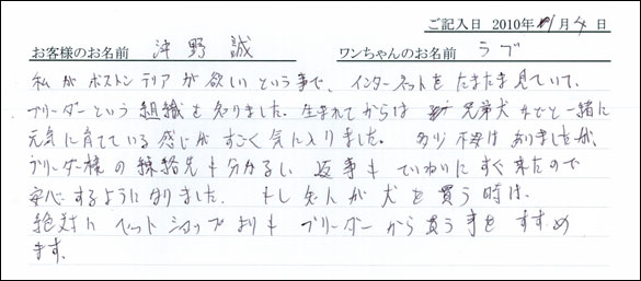 コッカーお客様の声