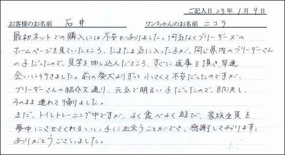 コッカーお客様の声