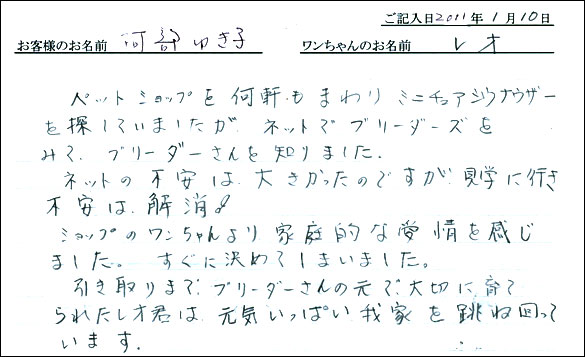 コッカーお客様の声