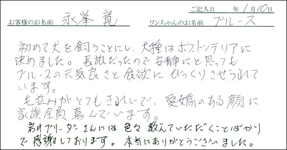 コッカーお客様の声