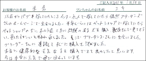 コッカーお客様の声