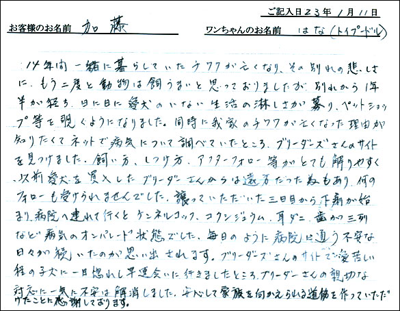 コッカーお客様の声