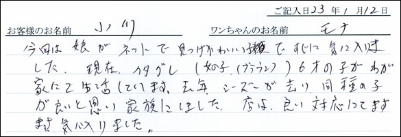 コッカーお客様の声