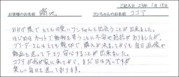 コッカーお客様の声
