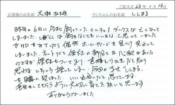 コッカーお客様の声