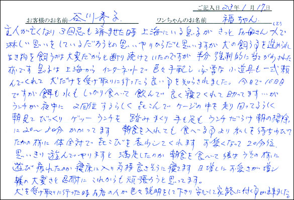 コッカーお客様の声