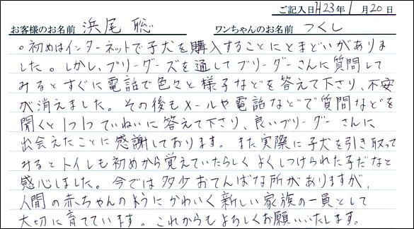 コッカーお客様の声