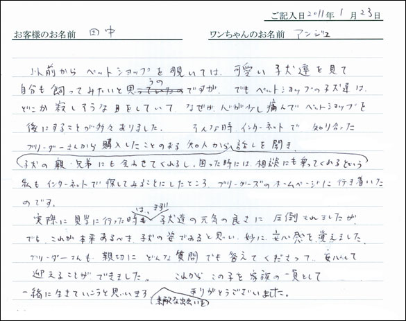 コッカーお客様の声