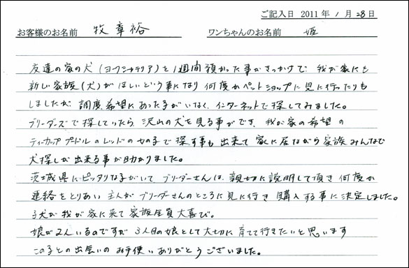 コッカーお客様の声
