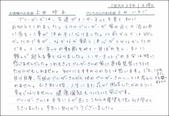 コッカーお客様の声