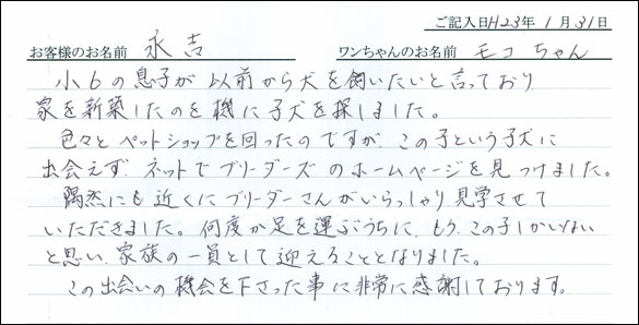 コッカーお客様の声