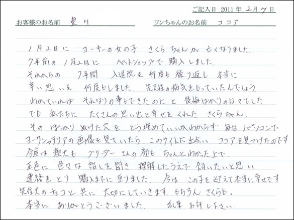 コッカーお客様の声