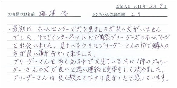 コッカーお客様の声
