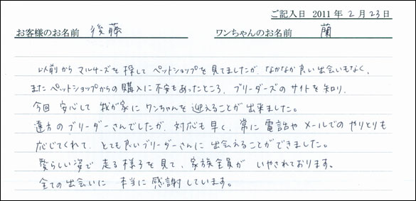 コッカーお客様の声