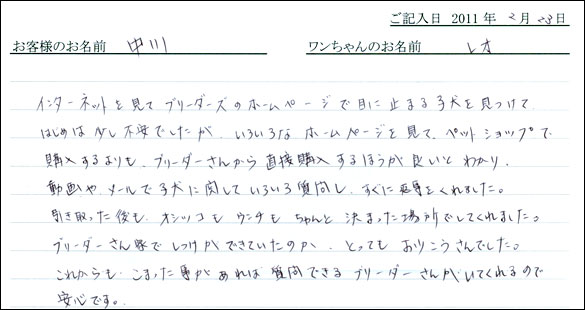 コッカーお客様の声