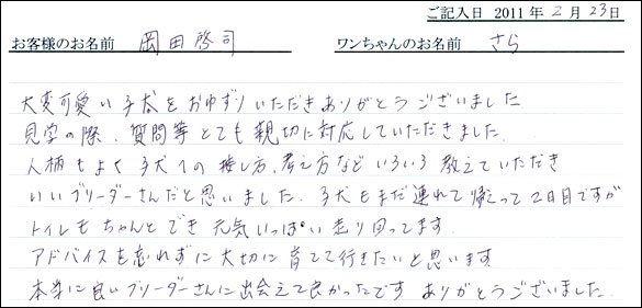 コッカーお客様の声