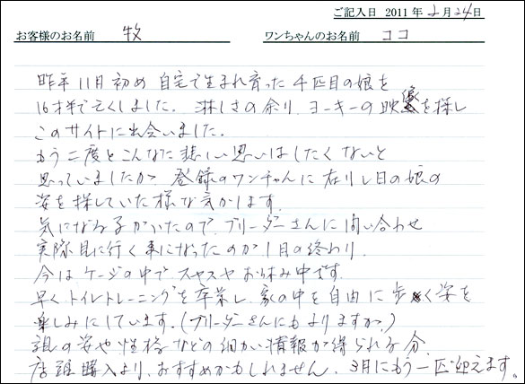 コッカーお客様の声