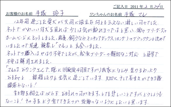 コッカーお客様の声