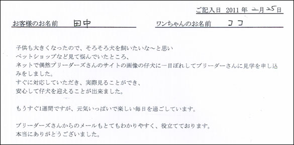 コッカーお客様の声