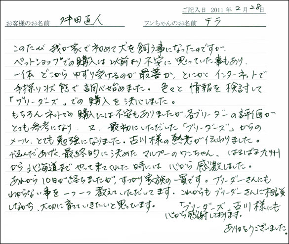 コッカーお客様の声