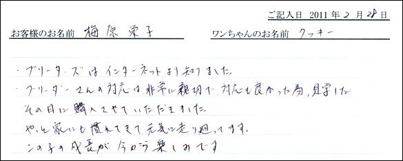 コッカーお客様の声