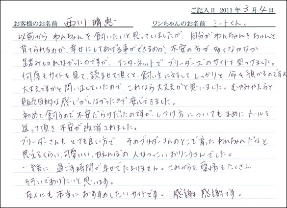 コッカーお客様の声