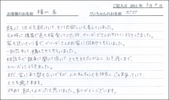 コッカーお客様の声