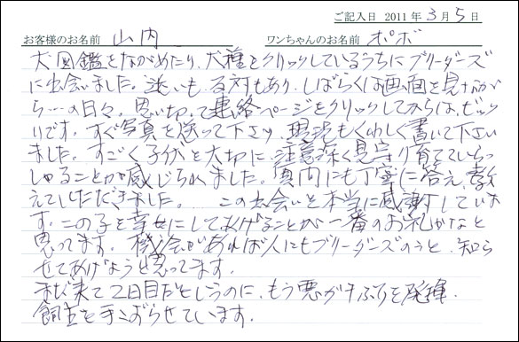 コッカーお客様の声