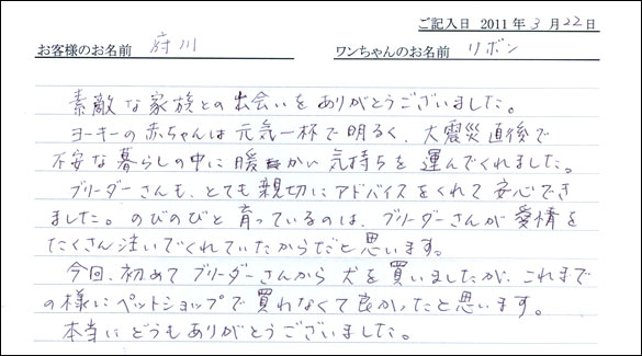 コッカーお客様の声