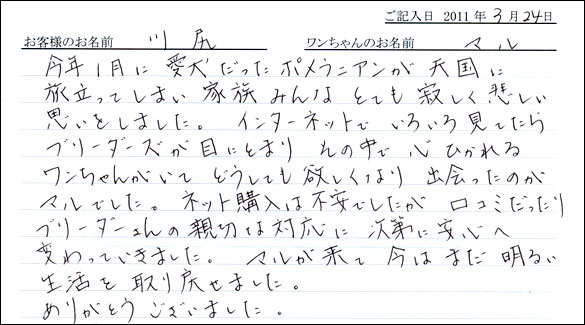 コッカーお客様の声