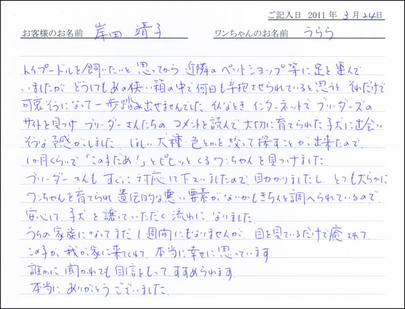 コッカーお客様の声